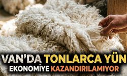 Van’da tonlarca yün ekonomiye kazandırılamıyor