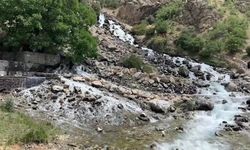 Yağışlar Van’daki şelaleyi değiştirdi! Bu yıl kurumadı