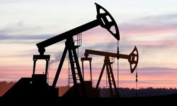Brent petrol 102 dolar seviyesini aştı