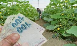 Eski hükümlülere 2 ayda 68,7 milyon liralık hibe desteği