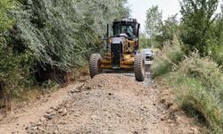 Gevaş’ta tarımsal arazi yolu çalışması