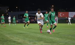 Vanspor, Muğlaspor’la 2-2 berabere kaldı