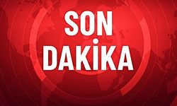 Vanlı Kara Haydar'ın 'Kiralık' dedi altınlar odunluktaki valizden çıktı