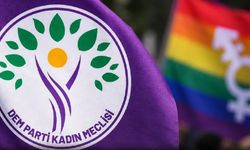 Sapkın LGBTİ+’lara dokunulması DEM Parti'yi rahatsız etti
