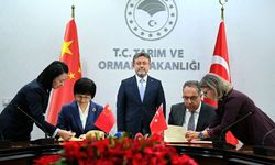 Türkiye’den Çin’e defne yaprağı ihracatında yeni dönem