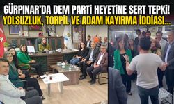 Van Gürpınar'da DEM Parti heyetine sert tepki!