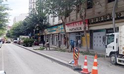 Van Zübeyde Hanım Caddesi’nde ağaçlar budanıyor