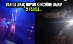 Van’da araç koyun sürüsüne daldı! 2 yaralı…