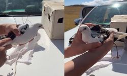 Van’da drone destekli kaçak av denetimi