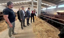 Van’da hayvancılığa güç katacak merkezde inceleme