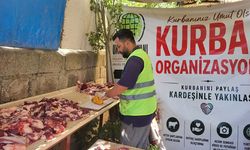 Van'da kesilen adak kurbanları ihtiyaç sahibi ailelere dağıtıldı!