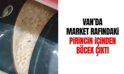 Van’da market rafındaki pirincin içinden böcek çıktı