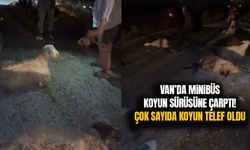 Van’da minibüs koyun sürüsüne çarptı! Çok sayıda koyun telef oldu