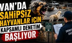 Van’da sahipsiz hayvanlar için kapsamlı denetim başlıyor