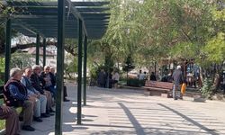 Vanlılar güneşli havanın tadını çıkarıyor