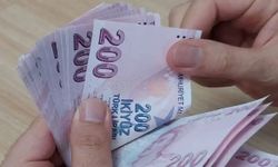 Annelerin doğum yardımı ödemeleri hesaplara yatırıldı