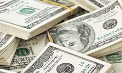 Dolar 49,20 liranın üzerine çıktı