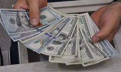Dolar küresel piyasalarda yükselişini sürdürüyor