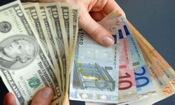 Dolarda yükseliş sürüyor, euro siyasi belirsizlikle geriliyor