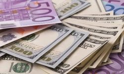 Döviz piyasalarında güncel görünüm: Dolar 49,20 TL