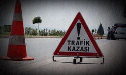 Düzensiz göçmenleri taşıyan minibüs şarampole devrildi