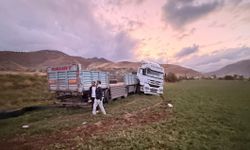 Gevaş’ta kontrolden çıkan tır tarlaya uçtu! 2 yaralı…