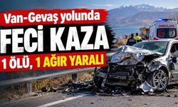 Van-Gevaş yolunda feci kaza: 1 ölü, 1 ağır yaralı
