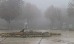 Meteoroloji uyardı: Sağanak, sis ve serin hava etkili olacak