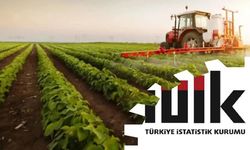 Tarım ürünlerinde yıllık fiyat artışı yüzde 12,93’e ulaştı