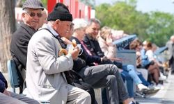 Türkiye yaşlanıyor! 9 milyon 583 yaşlı var...
