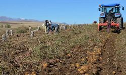 Türkiye’de tarımsal kooperatiflerin sayısı 8 bin 933’e ulaştı
