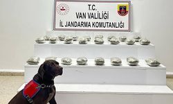 Van Başkale’de 10 kilo 111 gram toz esrar ele geçirildi