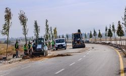 Van Gölü Sahil Yolu’nda ağaçlandırma çalışmaları sürüyor