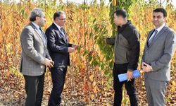Van’da 5 milyon fidan toprakla buluşacak
