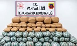 Van’da 517 kilogram zehirli madde ele geçirildi