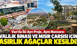 Van’da iki ayrı proje, aynı manzara: Valilik binası ve Mısır Çarşısı için asırlık ağaçlar kesildi!