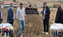 Van’da tarımsal üretimi artıracak yeni tohum çeşitleri deneniyor