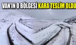 Van’ın o bölgesi kara teslim oldu
