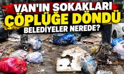 Van’ın sokakları çöplüğe döndü: Belediyeler nerede?