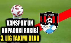 Vanspor'un kupadaki rakibi 3. Lig takımı oldu