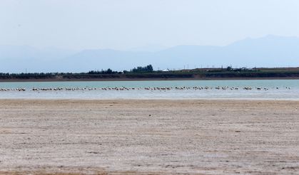 Kuş türlerine ev sahipliği yapan Arin Gölü Üçte Biri Kurudu