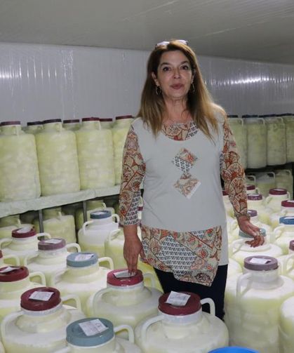 Hedef Van otlu peynirinin ulusal ve uluslararası pazarlarda satılması