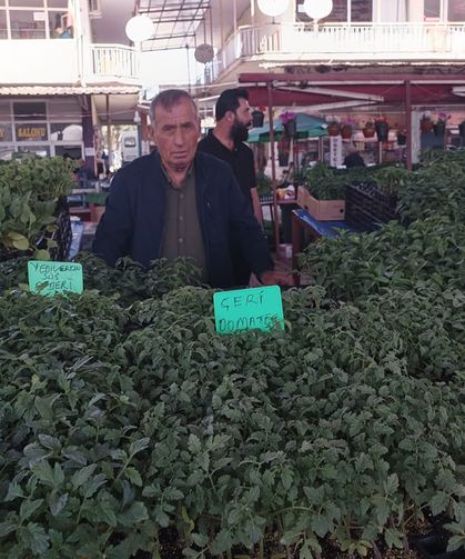 Don felaketinden sonra sebze fidelerine talep arttı