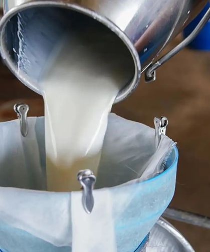 Ticaret Bakanlığı 4 büyük süt şirketine ceza yağdırdı