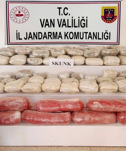 Van'da 61,9 kilogram skunk ele geçirildi