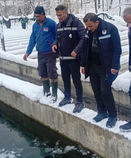 Van’da alabalık üretim tesislerine sıkı denetim