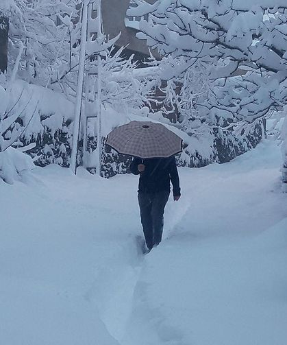 Meteorolojiden Bitlis’e kuvvetli kar yağışı uyarısı!