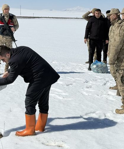Van Özalp’ta doğadaki canlara kış desteği