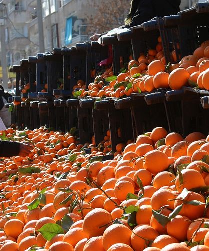 Van'da 06 Şubat Hal Fiyatları: Meyve ve Sebze Fiyatları Ne Kadar?
