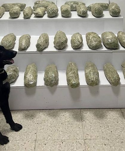 Van’da 21 kilo skunk ele geçirildi!